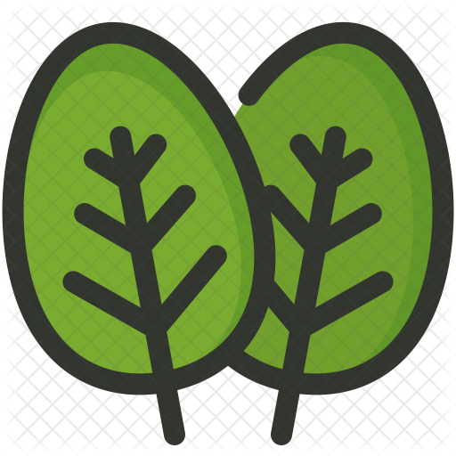 CU Plugins